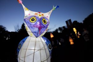 bradford lantern parade 2015 9 sm.jpg